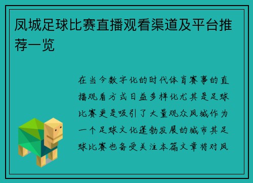 凤城足球比赛直播观看渠道及平台推荐一览